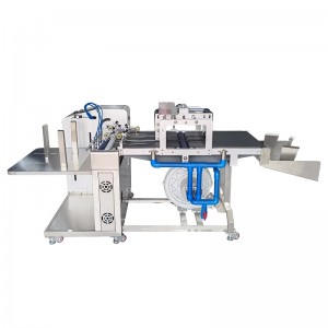 Wholesale Price Color Inkjet Printer Factory - Vacuum feeding & TTO thermal printing all in one – Baiyi